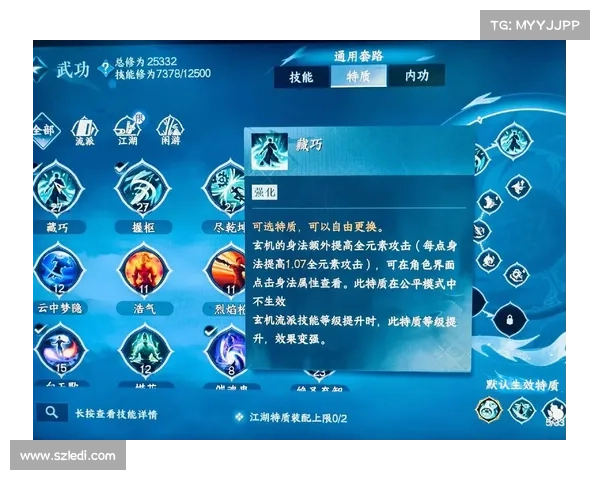 武魂玄冰加点策略解析与搭配技巧分享