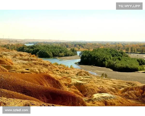 在边陲荒漠冥想的最佳时机及其心灵启示探寻