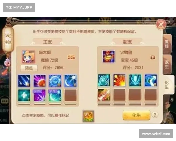 全面解析提升梦幻诛仙宠物战斗力的高效方法与培养策略