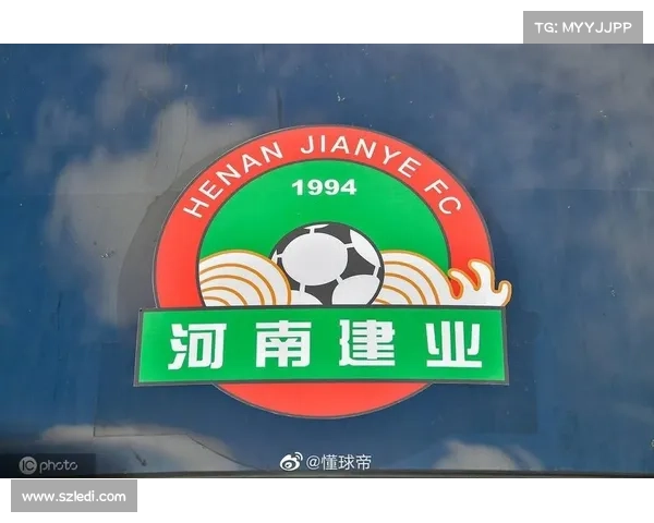 建业足球俱乐部功能解析及其运营模式研究